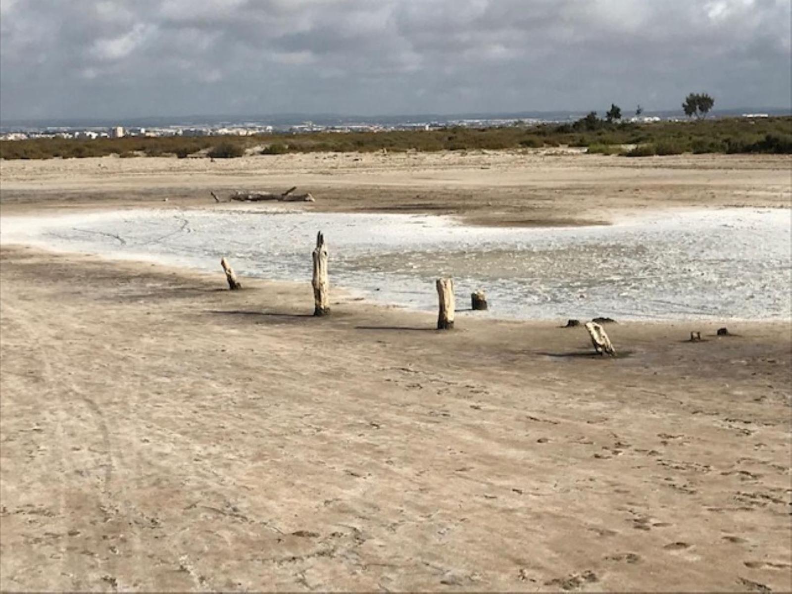 Punta Prima Oasis Beach Fase 9 Τορεβιέχα Εξωτερικό φωτογραφία