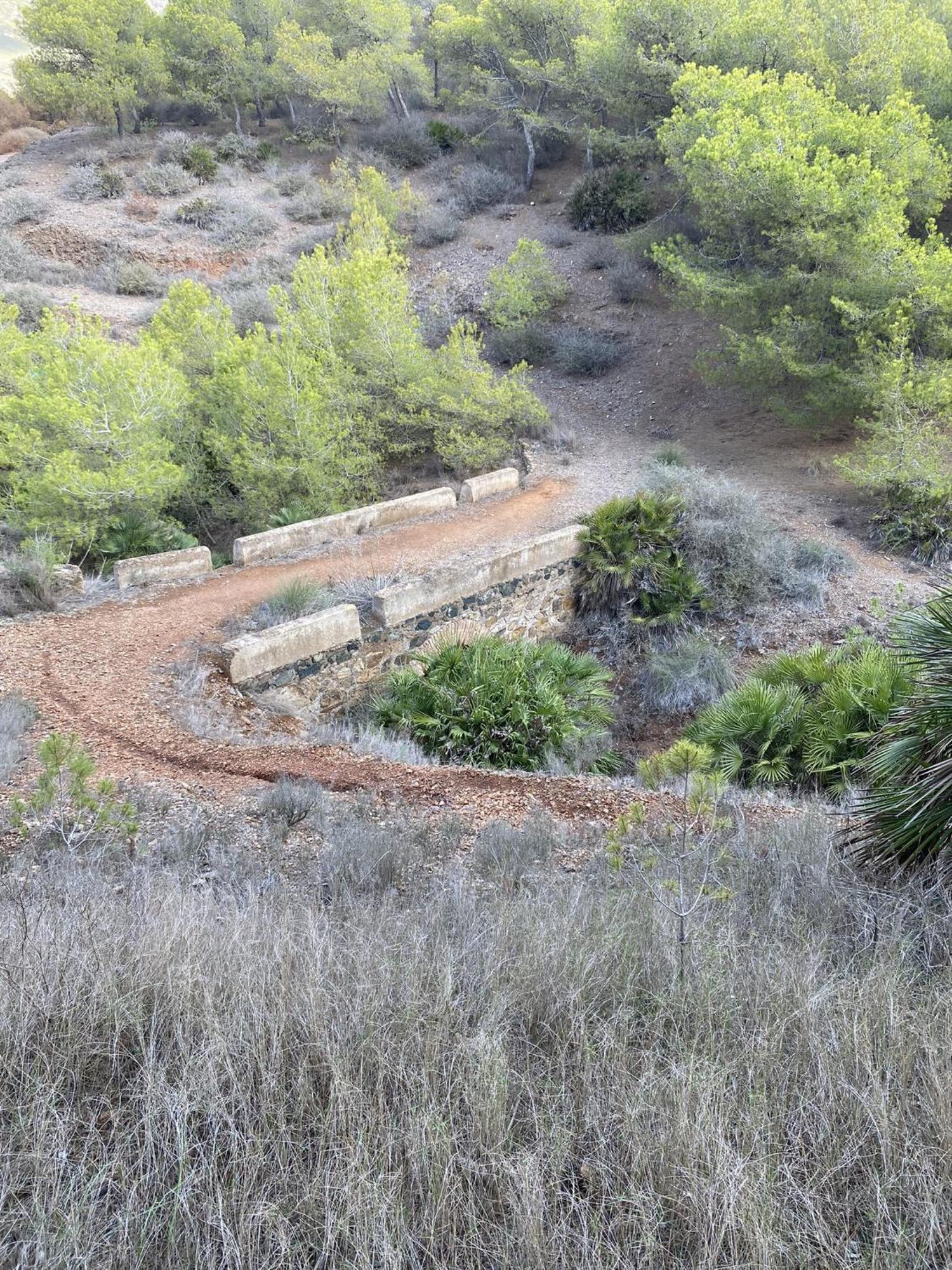 Punta Prima Oasis Beach Fase 9 Τορεβιέχα Εξωτερικό φωτογραφία